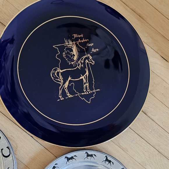 Arabian horse awards plates, perfect condition - Picture 3 of 7
